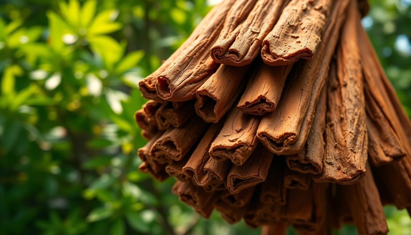 Cinnamon Bark showcased in a natural setting, emphasizing its rich texture and vivid colors.